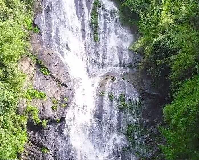 新春走基层| 降水即将来临，“头雁”新农人忙着用无人机撒小麦肥